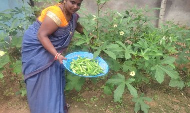 पोषण वाटिका से सुधरी बच्चों की सेहत