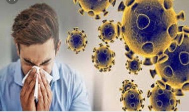 रायपुर में आज से नाइट कर्फ्यू लागू,स्कूल कॉलेज बंद का फरमान।