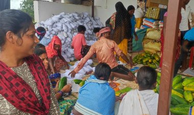 बदलता बस्तर : नई तस्वीर : दिल्ली में नक्सली दहशत की नहीं बल्कि पपीते के मिठास की हो रही चर्चा